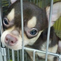 cartimar cat cage prices