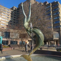 Photo taken at Maiden &amp;amp; The Dolphin Fountain by Mark . on 1/29/2020