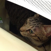 non profit veterinary clinic