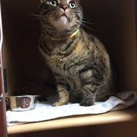 Petsmart hot sale heron gate