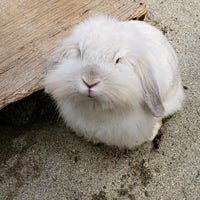 アニアニまある Zoo アニアニまある Zoo