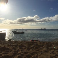 honolulu diamond head lotus
