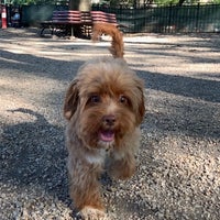 Photo taken at Sternberg Dog Park by Olivia G. on 9/20/2020