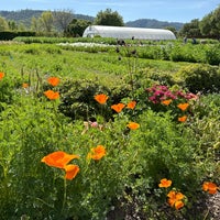 Photo taken at The French Laundry Garden by Ben W. on 4/16/2023