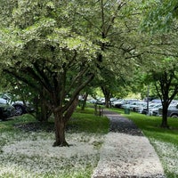 Photo taken at Morris Arboretum by Ben W. on 5/19/2024