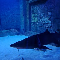 Foto tomada en Funtastic Aquarium İzmir  por alale el 7/6/2023