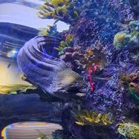 Foto diambil di Funtastic Aquarium İzmir oleh alale pada 7/6/2023