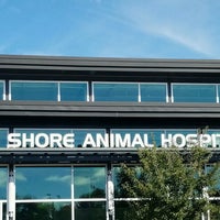 VCA South Shore (Weymouth) Animal Hospital - South Weymouth - 4 tips from 276 visitors VCA South Shore (Weymouth) Animal Hospital - South Weymouth - 4 tips from 276 visitors