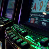 Mole Casino Mole Casino