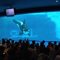 名古屋港水族館 Port Of Nagoya Public Aquarium 港区 45 Tips