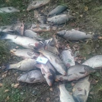 Воздвиженское клинский рыбхоз. Клинский рыбхоз владимировка. Клинский рыбхоз рыбалка. Клинский рыбхоз владимировка. Воздвиженское клинский рыбхоз.