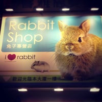i love rabbit shop