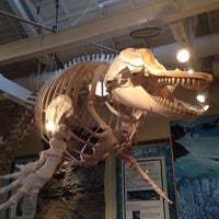 Port Townsend Marine Science Center Zoo