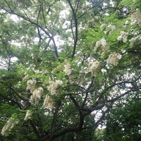 Photo taken at 緑の森公園 by Yuta t. on 5/8/2021