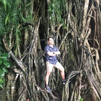 Photo taken at Biggest Balete Tree in Asia by GbOy21 on 4/13/2018