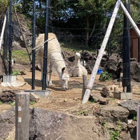 Photo taken at Izu Shaboten Zoo by はる き. on 4/14/2024