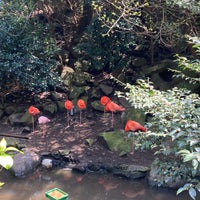 Photo taken at Izu Shaboten Zoo by はる き. on 4/14/2024
