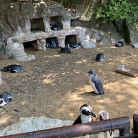 Photo taken at Izu Shaboten Zoo by はる き. on 4/14/2024