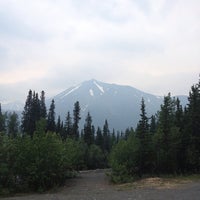 Denali Mountain Morning Hostel Denali Ak