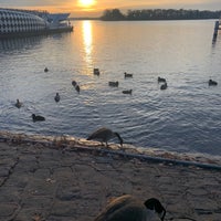 Photo taken at Anlegestelle Tegel / Greenwichpromenade by AnnaMartynova on 11/27/2022
