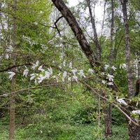 Photo taken at Viikin arboretum by sampo k. on 5/25/2022
