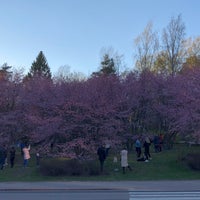 Photo taken at Japanilaistyylinen puutarha Noroshiyama by sampo k. on 5/6/2020