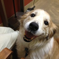 vitality animal hospital