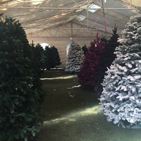 Photo taken at Christmas Trees by Faride M. on 11/21/2015