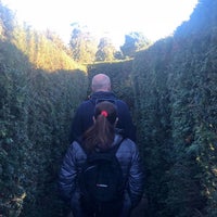 Photo taken at Hampton Court Palace Maze by Achille C. on 11/2/2018