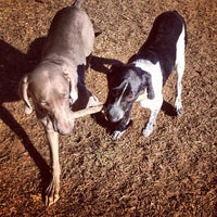 Photo taken at George Ward Dog Park by Chase J. on 1/19/2014