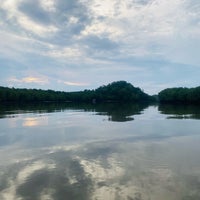 Photo taken at Tg Rhu Mangrove Tour by 🦋 on 9/6/2022