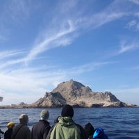 Photo taken at San Francisco Whale Tours by Claire N. on 11/12/2013