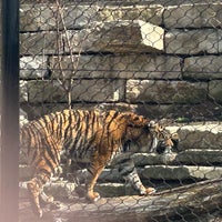 Photo taken at Kansas City Zoo by Holden R. on 3/14/2024