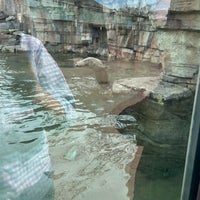 Foto scattata a Kansas City Zoo da Holden R. il 3/14/2024