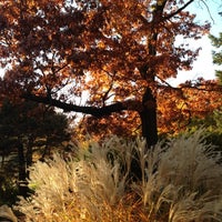 Photo taken at Dream in High Park by Igor L. on 10/25/2012