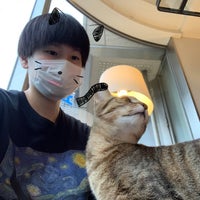 猫カフェ キューリグ 大名店 Cafe In Fukuoka 猫カフェ キューリグ 大名店 Cafe In Fukuoka