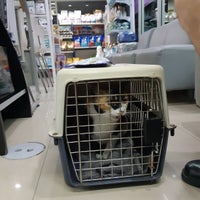 Photo taken at โรงพยาบาลสัตว์สวนหลวง by Jessica J. on 8/12/2018