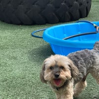 Photo taken at Dogwood Indoor Dog Park by Kiley on 8/29/2020