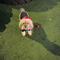 Photo taken at Dogwood Indoor Dog Park by Kiley on 12/3/2020