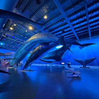 Foto diambil di Whales of Iceland oleh Abdulla pada 10/3/2023