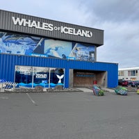 Photo taken at Whales of Iceland by Abdulla on 10/3/2023