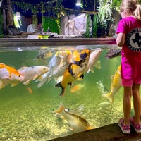 Foto scattata a Austin Aquarium da Matthew il 9/29/2019