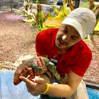 รูปภาพถ่ายที่ Austin Aquarium โดย Matthew เมื่อ 9/29/2019