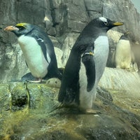 Photo taken at Central Park Zoo by Mike M. on 5/11/2024