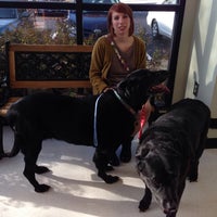 oakwood animal hospital oakwood ga