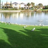 Photo taken at Mawson Lakes by Sandeep R. on 6/19/2013