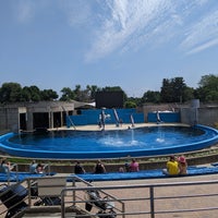 Photo taken at Zoo Aquarium de Madrid by Mitsuki T. on 7/21/2023