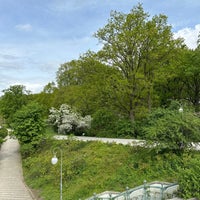 Photo taken at Großer Tiergarten by ˈakiːm S. on 4/14/2024