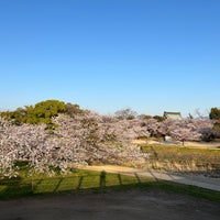 Photo taken at 石手川緑地公園 by Sky&amp;amp;Cloud on 4/4/2022