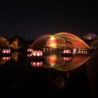 Photo taken at Rivers of Light by Zulemmy U. on 1/6/2020